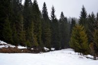 130 Szczawnica 28.02 - 01.03.2015 r.